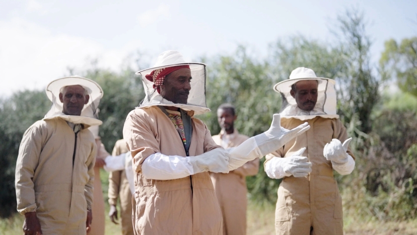 Several people don beekeeping suits 