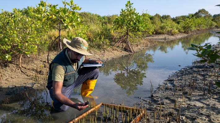 A man crouching in shallow water making notes as he looks at a plant.