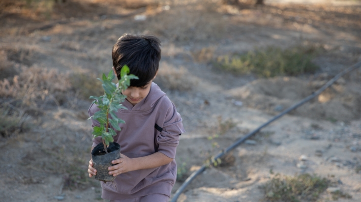 A boy carrying a seedling.