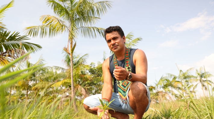 A man crouches down with a sapling.