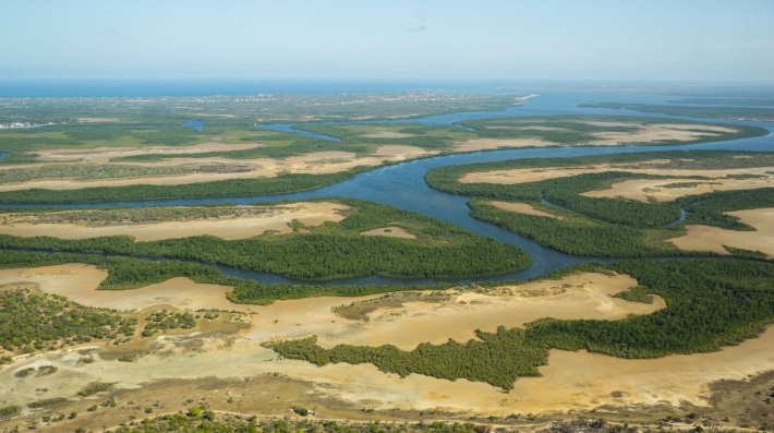 An aerial shot of mangroves and a river. 