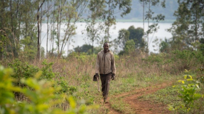 A man walks in his fields