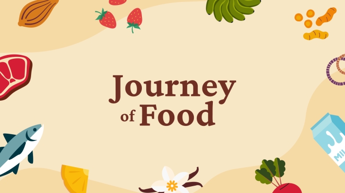 Journey of Food