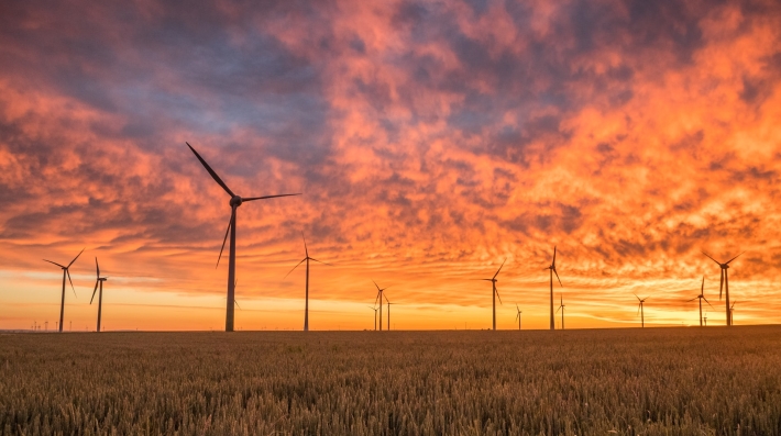 A grass field with windmills at sunset