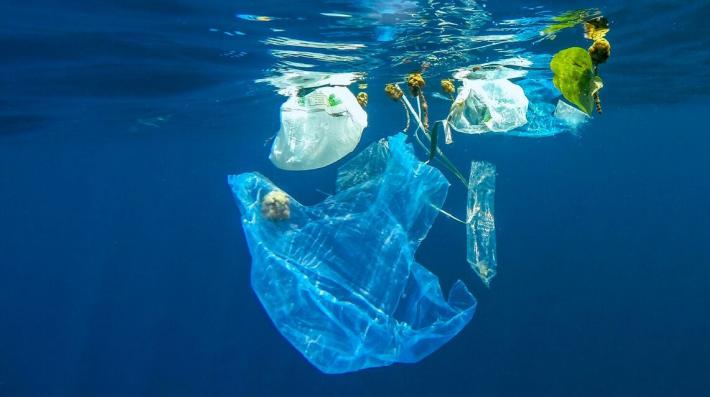 plastic bags floating just beneath the surface of the ocean