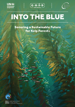 Into the Blue: Securing a Sustainable Future for Kelp Forests