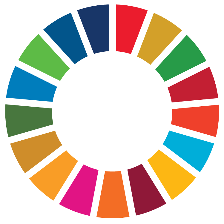 SDG Logo